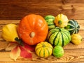 Variety of pumpkins. Harvest still life Royalty Free Stock Photo