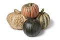 Variety of pumpkins Royalty Free Stock Photo