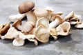 Variety of raw mushrooms on grey table. oyster and other fresh m Royalty Free Stock Photo