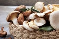 Variety of raw mushrooms on grey table. oyster and other fresh m Royalty Free Stock Photo