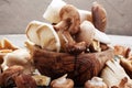 Variety of raw mushrooms on grey table. oyster and other fresh m Royalty Free Stock Photo