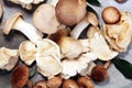 Variety of raw mushrooms on grey table. oyster and other fresh m Royalty Free Stock Photo