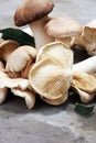 Variety of raw mushrooms on grey table. oyster and other fresh m Royalty Free Stock Photo