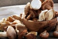 Variety of raw mushrooms on grey table. oyster and other fresh m Royalty Free Stock Photo