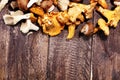 Variety of raw mushrooms on grey table. oyster and other fresh m Royalty Free Stock Photo