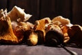 Variety of raw mushrooms on grey table. oyster and other fresh m Royalty Free Stock Photo