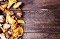 Variety of raw mushrooms on grey table. oyster and other fresh m Royalty Free Stock Photo