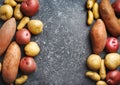 Variety of raw uncooked organic potatoes: red, white, sweet and fingers potatoes over dark texture background Royalty Free Stock Photo