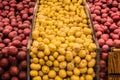 Assortment of potatoes in grocery store Royalty Free Stock Photo
