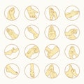 Variety of reflexology treatment icons