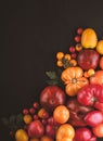 variety of ripe colourful organic tomatoes Royalty Free Stock Photo