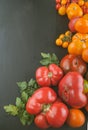 variety of ripe colourful organic tomatoes Royalty Free Stock Photo