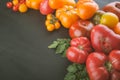 variety of ripe colourful organic tomatoes Royalty Free Stock Photo