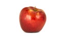 Variety of ripe red apples Malus domestica `Jonagold` isolate wh