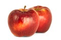 Variety of ripe red apples Malus domestica `Jonagold` isolate wh