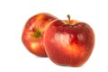 Variety of ripe red apples Malus domestica `Jonagold` isolate wh