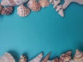 Variety of seashells arranged on a bright blue background, forming a frame with copy space in the center Royalty Free Stock Photo