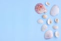 Variety of seashells on blue background Royalty Free Stock Photo