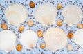 Variety of seashells on blue marble background