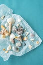 Variety seashells. Collecting sea shells
