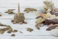 Variety of seashells, corals, shell, starfish, on white background Royalty Free Stock Photo