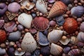 Variety of seashells and pebbles background, top view, Experience rich textures with macro photography, showcasing intricate