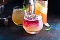 Variety of seasonal cocktails Royalty Free Stock Photo