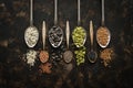 A variety of seeds in spoons, chia, flax, pumpkin, sunflower, coriander, sesame, black sesame on a dark background. Top view, copy Royalty Free Stock Photo