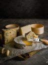 Variety of soft and hard cheeses, focus on brie cut with cheese knife. Low key image