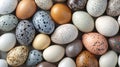 Variety of speckled bird eggs in various colors and patterns. Royalty Free Stock Photo