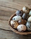 Variety of speckled quail eggs in wooden bowl on rustic table, concept of organic farming and Easter tradition. Royalty Free Stock Photo