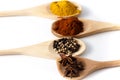Variety of spices and aromatic herbs Royalty Free Stock Photo