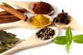 Variety of spices and aromatic herbs Royalty Free Stock Photo
