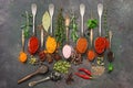 A variety of spices. Assorted seasoning, herbs, seeds in spoons on a dark background. Top view, flat lay Royalty Free Stock Photo