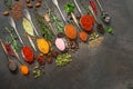 A variety of spices, herbs and seasonings in spoons on a dark background, corner frame. View from above, flat lay