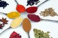 Variety of spices isolated on white background Royalty Free Stock Photo