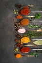 A variety of spices, seasonings and herbs in spoons on a dark background. Top view, flat lay, copy space Royalty Free Stock Photo