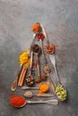 A variety of spices in spoons in the shape of a Christmas tree on a dark rustic background. Abstract christmas tree. Top view, Royalty Free Stock Photo