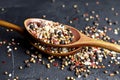 Variety of spices in wooden spoons. Sea salt, mixed pepper, cardamon and mustard seeds on dark black slate background Royalty Free Stock Photo