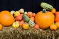 Variety of Squash Royalty Free Stock Photo