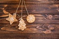 Variety tasty Christmas gingerbread cookies on the wooden table