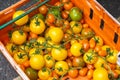 Variety of tomatoes on display at Broadway Market in Hackney, East London Royalty Free Stock Photo