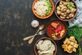 A variety of traditional Russian dishes-borscht,sauerkraut,pickled mushrooms,dumplings. Russian dishes on dark rustic background,