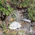 Variety of Trash Laying on Ground in Helsinki, Finland