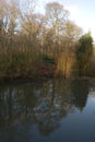 Trees reflected in a lake on a Winter day