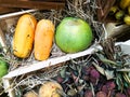 Variety of tropical fruits