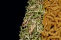 Variety of types and shapes of dry Italian pasta. Italian Macaroni raw food background or texture:pasta, spaghetti , pasta in Royalty Free Stock Photo