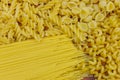 Variety of types and shapes of raw italian pasta. Close-up Royalty Free Stock Photo