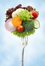 Variety of vegetables on fork Royalty Free Stock Photo