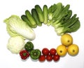 Variety of vegetables on a white background and beautiful spruce, illustrated. Royalty Free Stock Photo